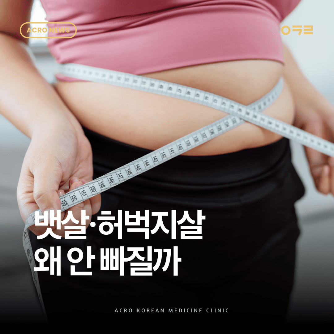 뱃살·허벅지살만 안 빠지는 이유, 부분 비만