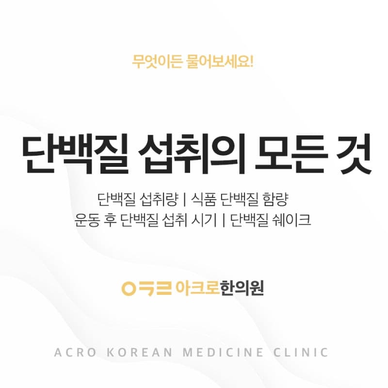 다이어트 단백질 섭취하는 방법, 시간