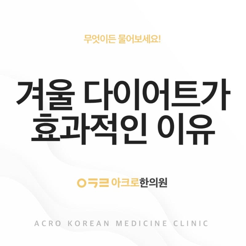 겨울 다이어트가 효과적인 이유