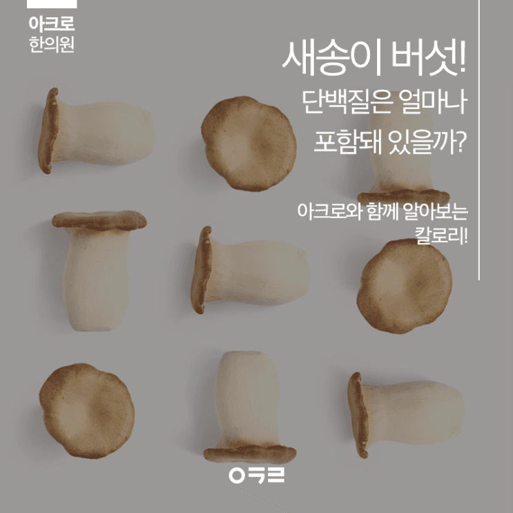杏鮑菇的蛋白質含量對減肥有幫助嗎