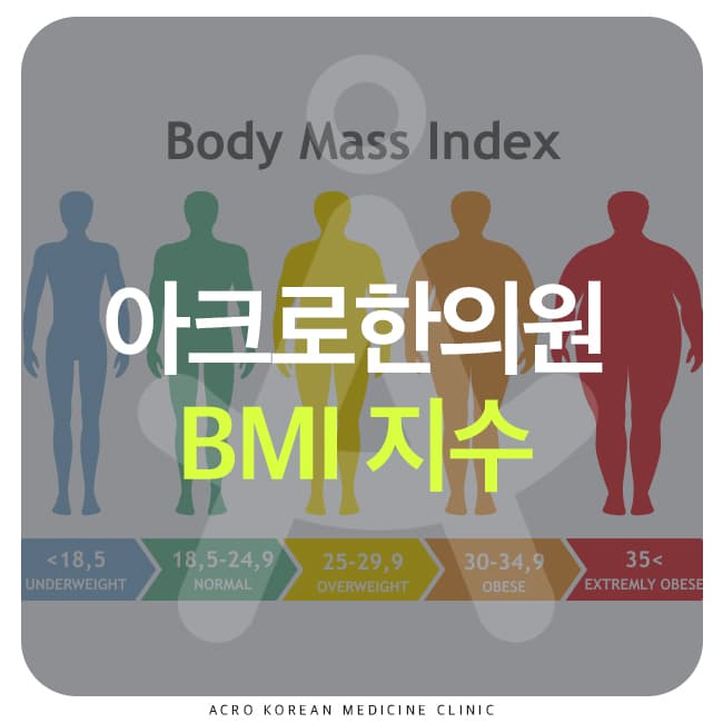 減重前為何要先檢查BMI(身體質量指數)